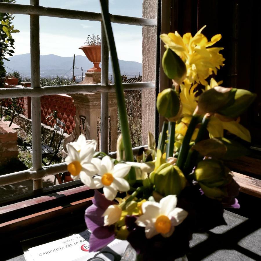 Palazzo Boccella Guest House Villa Basilica Ngoại thất bức ảnh